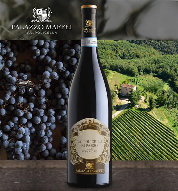 Palazzo Maffei Ripasso